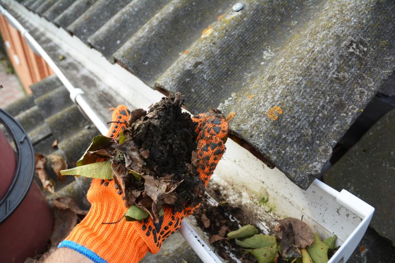 Gutter Cleaning in Long Island, NY