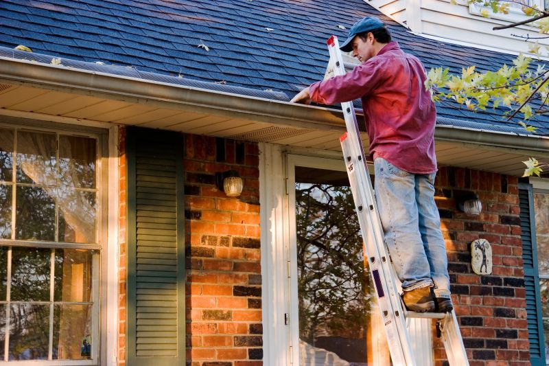 Gutter Cleaning in Bergen County, NJ
