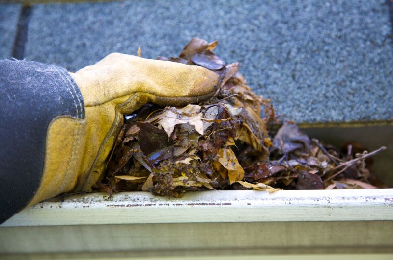 Gutter Leaf Clearing in Long Island, NY