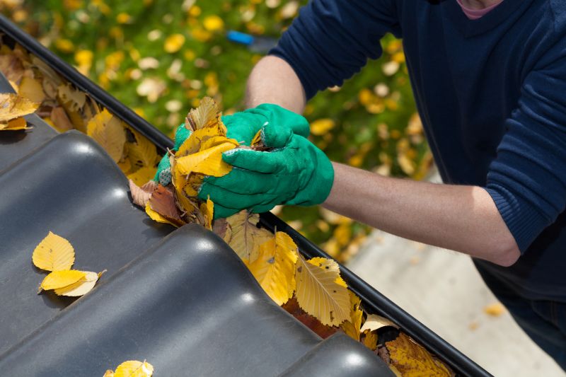 Gutter Leaf Clearing in Richmond, VA