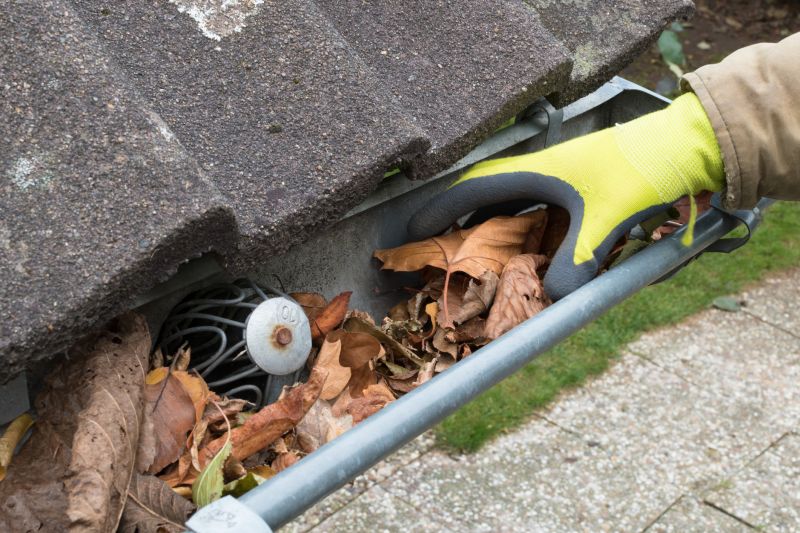 Industrial Gutter Cleaning in Denver County, CO